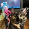 catlady9412
